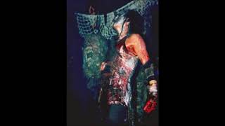 Skinny Puppy - Ritchie Coliseum, College Park, Maryland 19th November 1990