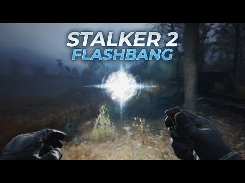 How To Deal With Flashbang Anomaly In Stalker 2