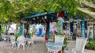 Das Leben ist….    Reinhard Mey