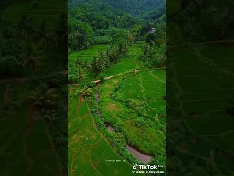 Welcome 🙏🏻 Zakee feel the nature part 2 love ❤️ love ❤️ love ❤️ #ffestiniog #speke #porttalbot