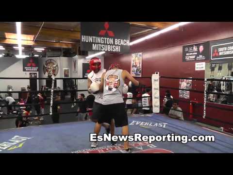 bunny sparring joesy in oxnard EsNews