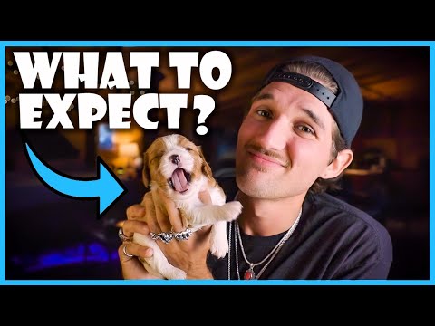 What to expect