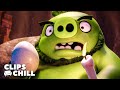 Detén A Los Cerdos Y Salva El Huevo Angry Birds La Película