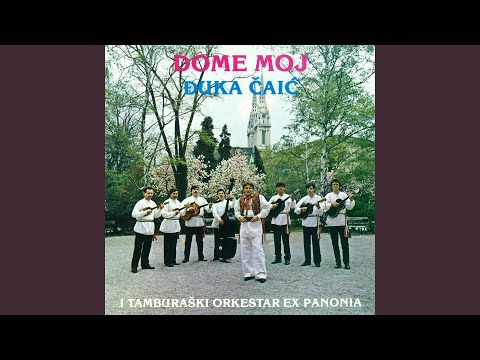 Vehni, Vehni Fijolica