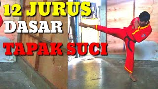 Download lagu 12 JURUS DASAR TAPAK SUCI PART 1 mp3
