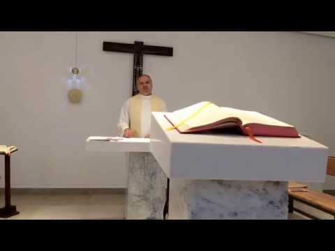 Homilia Pe. Luís Erlin - Sexta-Feira da 16ª Semana do Tempo Comum -