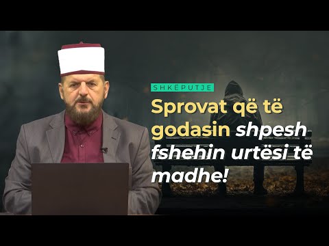 Sprovat që të godasin shpesh fshehin urtësi të madhe! - Dr. Shefqet Krasniqi