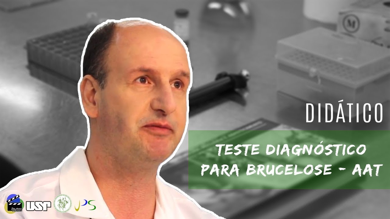Tese Diagnóstico para BRUCELOSE BOVINA -  Profº Marcos Bryan VPS FMVZ USP