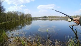 Вес поплавочной для ловля карася весной