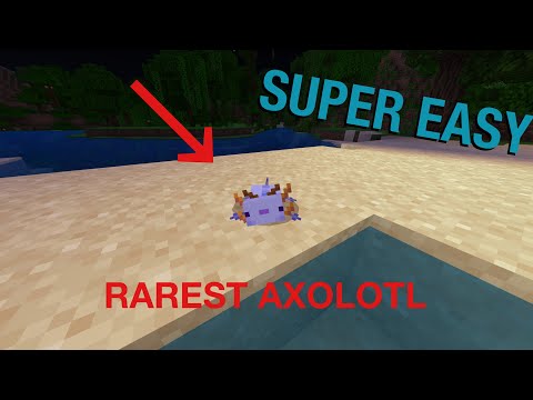 How to get RARE blue Axolotl 100% of the time