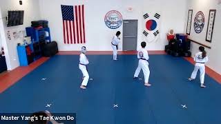 Live Class - Red Stripe - 5.26.20 @ 5:15pm