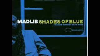 Madlib - Distant Land
