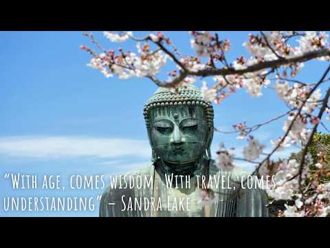 The Urban Nomad - A new beginning