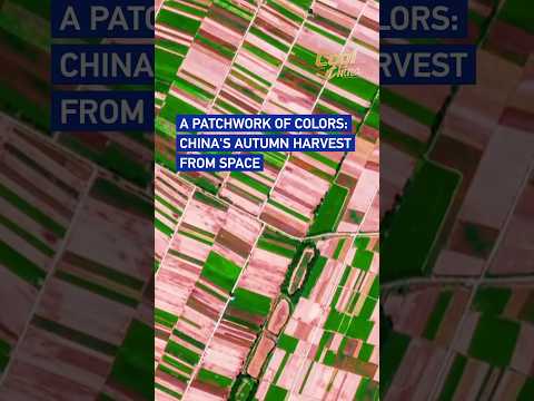 A patchwork of colors: China's autumn harvest from space #CoolChina