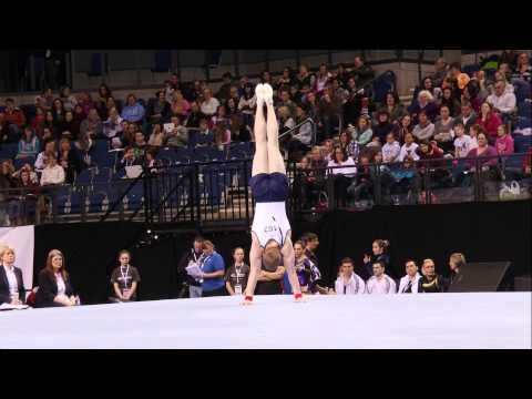 TIM CHAMPION- FLOOR - 2013 British Champs - AA