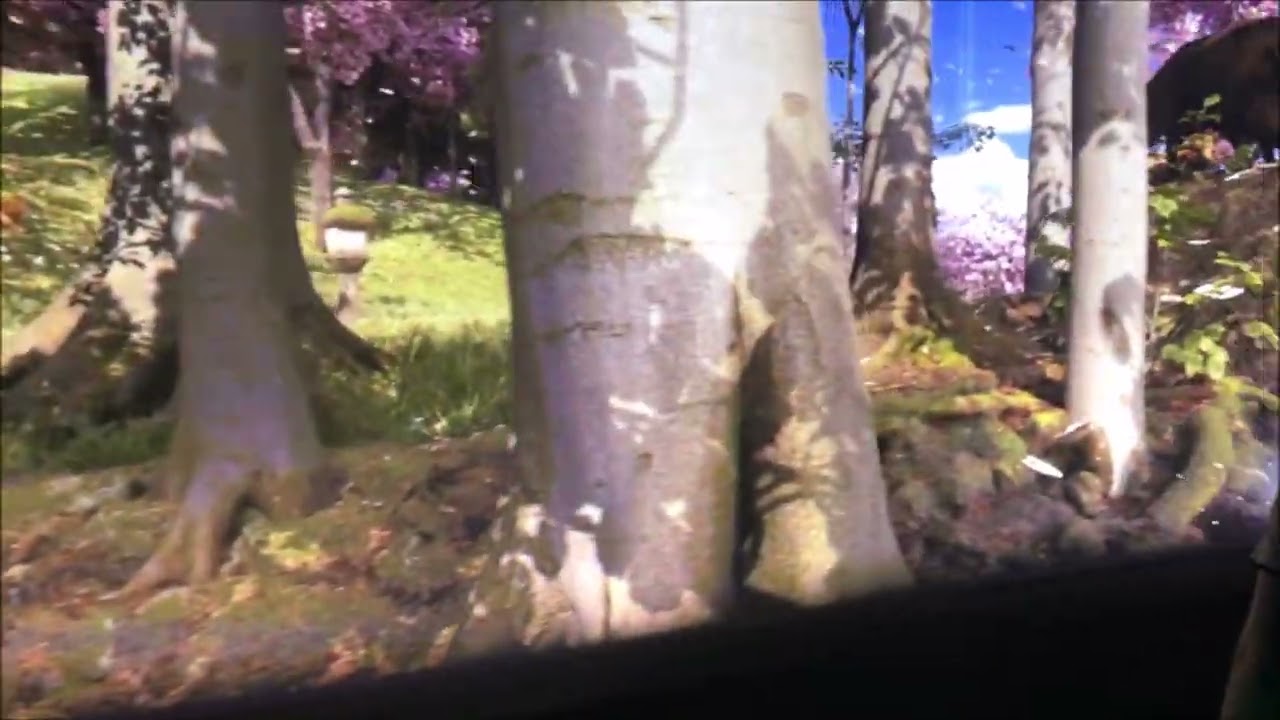 Hologram Zoo Sydney Asia