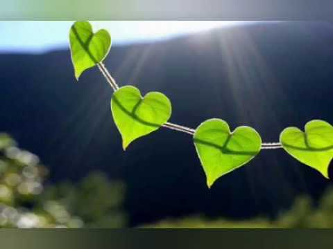 موسيقى هادئة مونامورا quiet music munamore