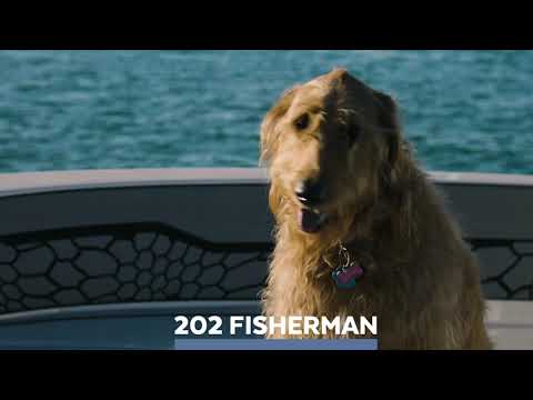 Wellcraft 202 Fisherman Highlights