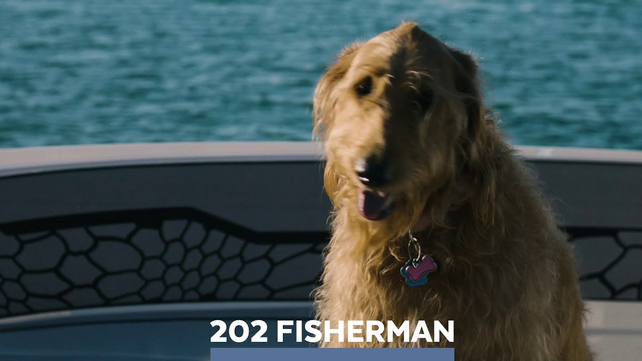 Wellcraft 202 Fisherman Highlights