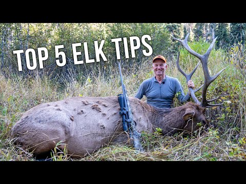 Randy’s 5 Biggest Tips for Rifle Elk Hunting Success