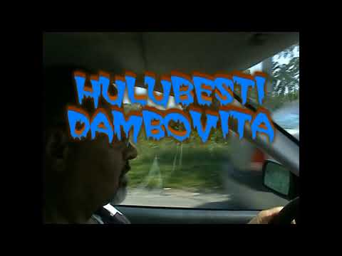 DOR DE CASA PARINTEASCA  ,IN PAISENI HULUBESTI  DAMBOVITA !..