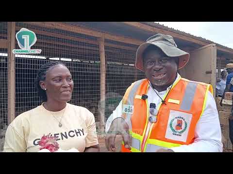 Nkoko Nkitinkiti: 168 Beneficiaries Receive 30,000 Birds to Boost Poultry Farming