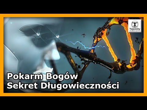 Pokarm Bogów - Sekret Długowieczności