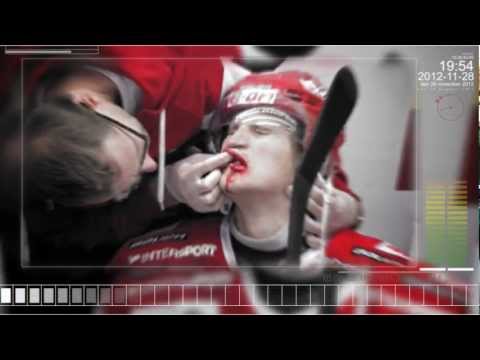 Hockeyvinjett Elitserien 2013