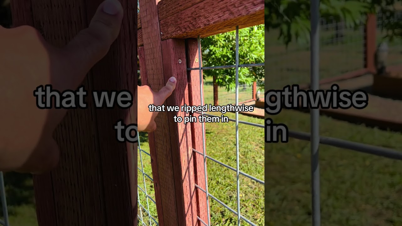 How to Build a Deer Fence for Garden