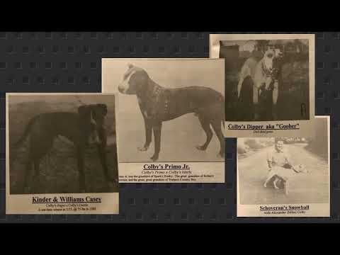 More On Them Old Colby Dogs | R.A.S.