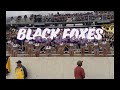 PV Black Foxes | Rep Yo City | HC 2025