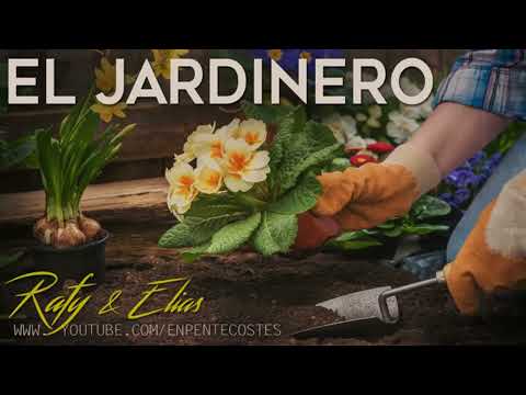 EL JARDINERO RAFY Y ELIAS
