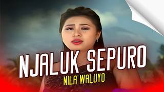 Download lagu Nila Waluyo - Njaluk Sepuro (Karaoke) mp3