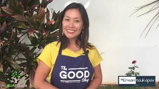 Daisy Yip Tong Grenade, The Good Shop video