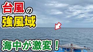 台風の強風域で潜ってみたら…海中の変化が凄すぎた！