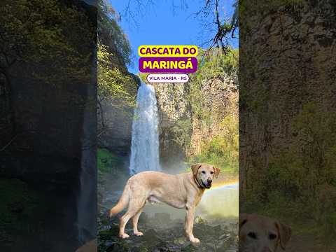 😱MAIS ALTA de #vilamaria #cascatadomaringa