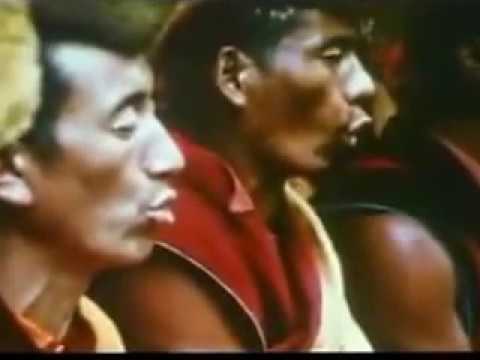 VISIONS SLAM DOT ALLISON