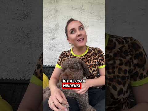 Bölcsesség péntekre. 🤷‍♀️🙈🙃 #rebiverzum #nelégyhülye #énkérekelnézést #nekedbelegyen #foryoupage