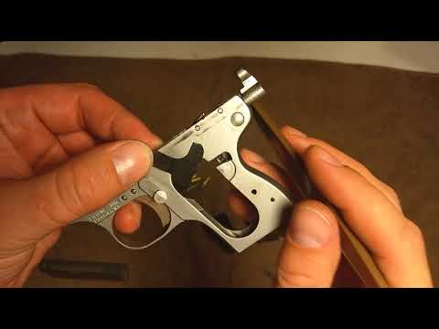 Sterling Arms 302 .22LR review and takedown