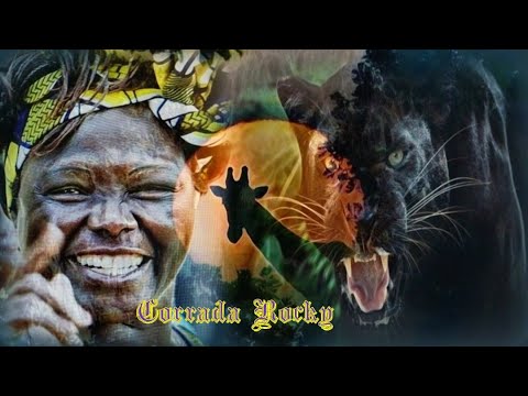 🎶🦍🦓🦒Hanwi - The Moon🎵🦁🐯🐘