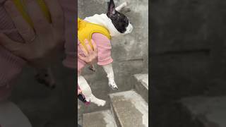 もはや修行😂12kgのフレブルを持って急勾配な階段を登るのって大変です😇