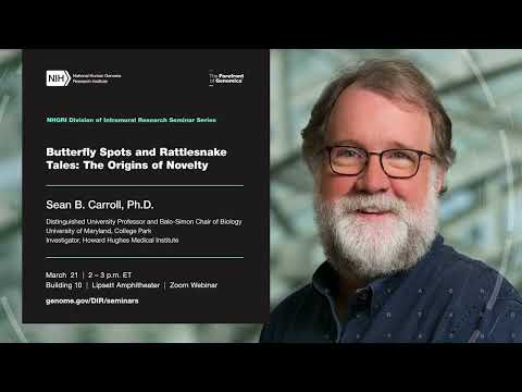 NHGRI DIR Seminar Series - Sean Carroll
