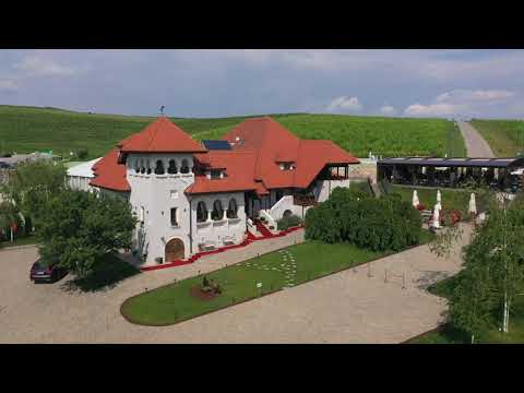 🍇 Casa Timiş - Tradiƫie şi Rafinament în Inima Naturii 🍇