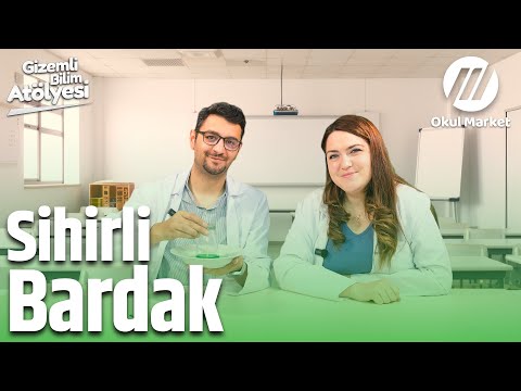 Sihirli Bardak