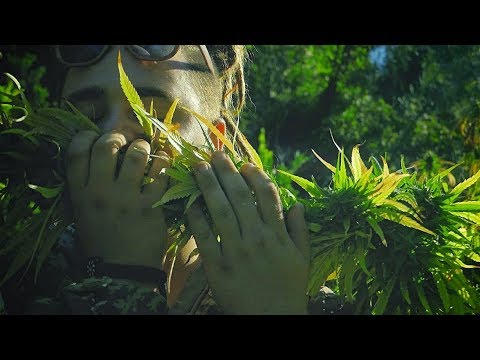 FUMO LA GANJA - Argy-T (official video )