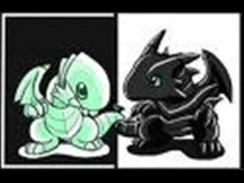 Blue Eyes White Dragon And Red Eyes Black Dragon Tribute!