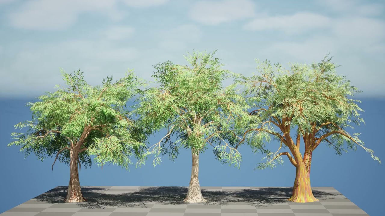 Realistic Eucalyptus Tree 3D Model