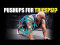 How to Target TRICEPS On The Pushup | Targeting The Muscle