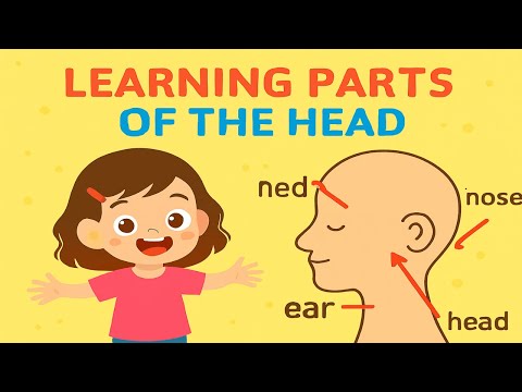 Learn Parts of the Head for Kids | Fun Preschool Learning Song 2025