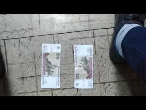 Нови  ситилист